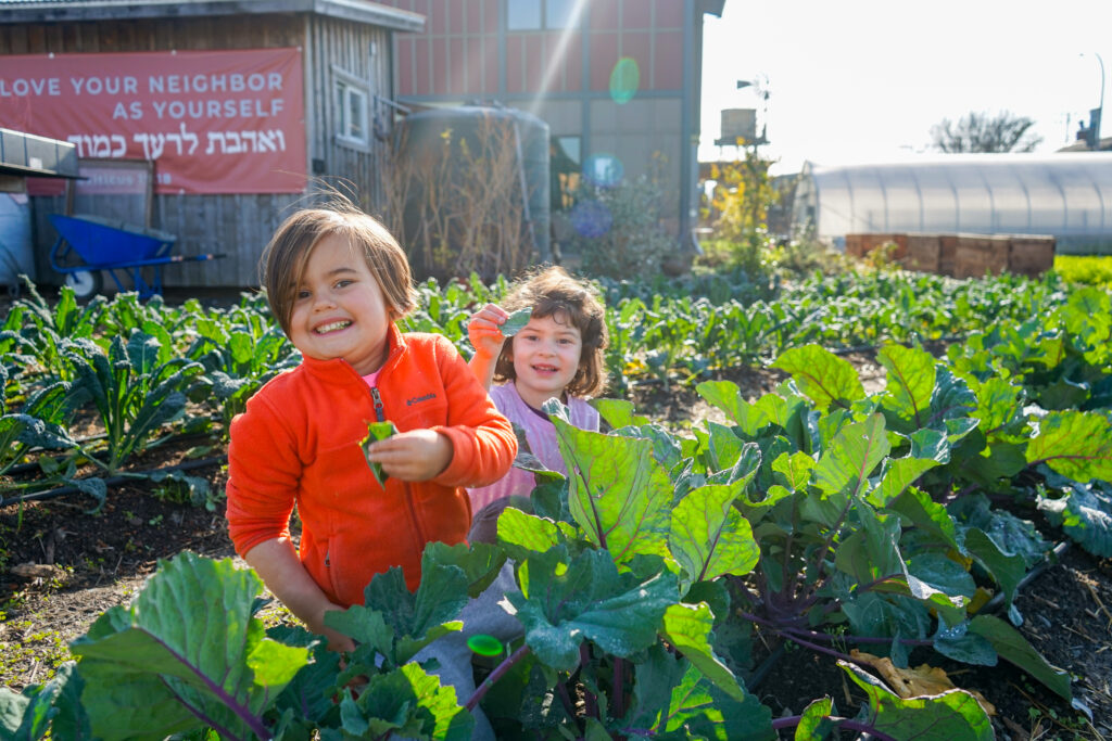 Children smiling in field of kale on urban farm.